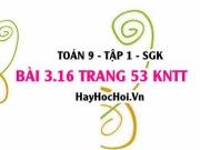 Bài 3.16 Toán 9 tập 1 SGK Kết nối tri thức